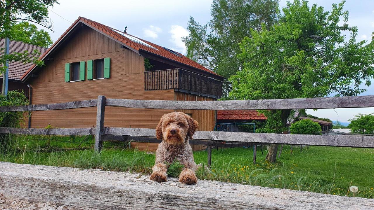 Guesthouse La Moliere, 3 Bedrooms, Private House, Horse Farm, Full Nature Murist Luaran gambar