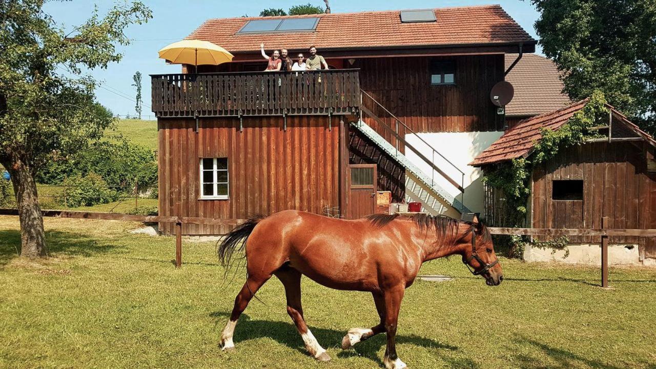 Guesthouse La Moliere, 3 Bedrooms, Private House, Horse Farm, Full Nature Murist Luaran gambar